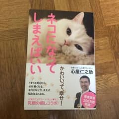 ネコになってしまえばいいのサムネイル