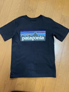 パタゴニア キッズ tシャツのサムネイル