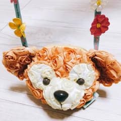Disney ダッフィー 期間限定コインケースのサムネイル