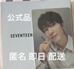 SEVENTEEN ベアブリック ウォヌ400% セブチ トレカ - メルカリ
