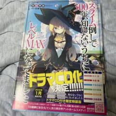 スライム倒して300年、知らないうちにレベルMAXになってましたのサムネイル