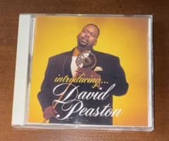 David Peaston / Introducing... 日本盤　帯付きのサムネイル