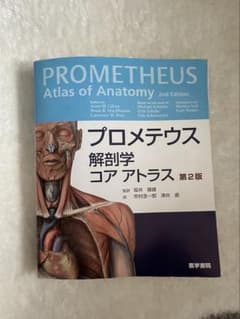プロメテウス 解剖学コアアトラス 第2版　定価9500円 半額以下商品です‼️のサムネイル