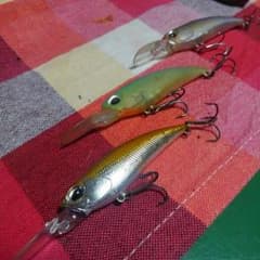 専用のサムネイル