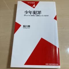 少年犯罪 : ほんとうに多発化・凶悪化しているのかのサムネイル