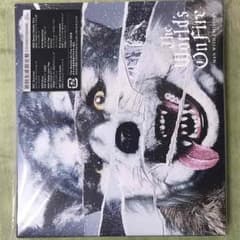 man with a mission アルバムのサムネイル