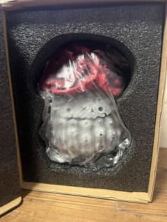 羅本製所 Copiapoa 黒王丸花季番紅花Robinceramicstudio