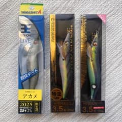 限定色]エギ王 LIVE 3.5号、スクイッドマニア WILD CHASE - メルカリ