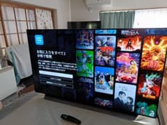 Du Hong様専用 LG OLED55C9PJA 2019年製 4K 有機EL - メルカリ