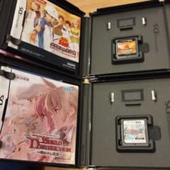 DSソフト２本セットのサムネイル