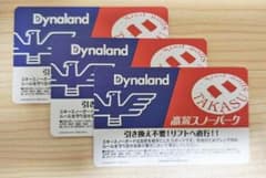 高鷲スノーパーク　ダイナランド　共通リフト券　3枚のサムネイル