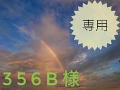 【専用】356B様のサムネイル