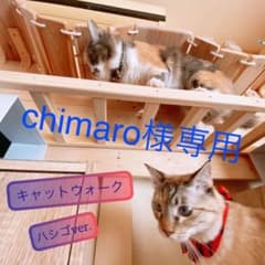 猫用 ハシゴver. 85cm×3セット 合計170cm～ キャットウォークのサムネイル