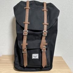⭐︎ 【mini様専用】Herschel Supply リュック⭐︎のサムネイル