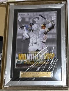 鑑定書付き】佐藤輝明 直筆 サイン入り フォトパネル 阪神タイガース