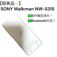 極美品】SONY Walkman NW-S315 スピーカー・ケース付き - メルカリ