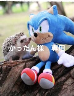 イミダペプチドドリンク40本のサムネイル