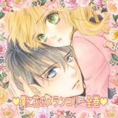 【僕に花のメランコリー】全巻セット(1-13)のサムネイル
