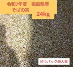 令和7年度　福島県産　蕎麦の実　24kg② 令和7年度 福島県産 蕎麦の実 24kg② - メルカリ