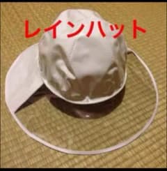 レインハットのサムネイル