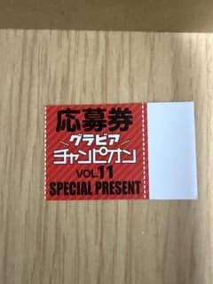 グラビアチャンピオンVOL.11 谷口愛季 応募券のサムネイル