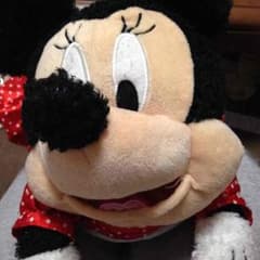 ミニーティッシュケースのサムネイル