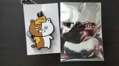ネコイチ　CoCo壱番屋　Neco壱　ココイチのサムネイル