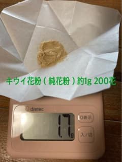 キウイ花粉（純花粉）約1g 200花 - メルカリ