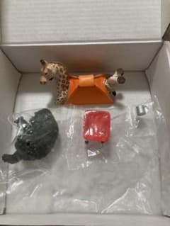 アニマルキャンプのサムネイル