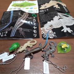 Yoshi様専用 ネイチャーテクニカラー 色々セットのサムネイル