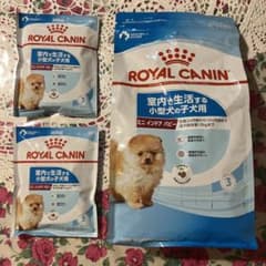 ロイヤルカナン ミニ インドア パピー 室内で生活する小型犬の子犬用