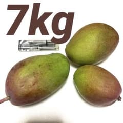 谷平様専用旬の味覚大きめ摘果マンゴー18キロkg[120〜250g]のサムネイル