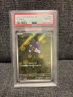 マメバッタ AR PSA10 ポケモンカードのサムネイル