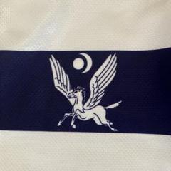 明治大学 Mizuno ラグビーウェア 半袖 ホワイト/ネイビー 好きに 非売品 国内外の人気 明治大学ラグビー部Mizuno ウェア