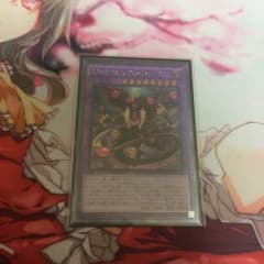 遊戯王 スターヴヴェノムフュージョンドラゴンのサムネイル