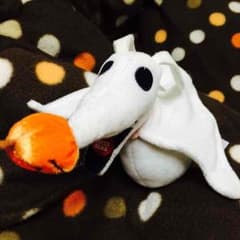 ウィンテージ様用のサムネイル