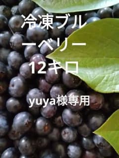 冷凍ブルーベリーのサムネイル