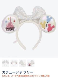 Disney♡パーク入場者限定購入可カチューシャ◎のサムネイル