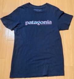 パタゴニアTシャツＳサイズのサムネイル
