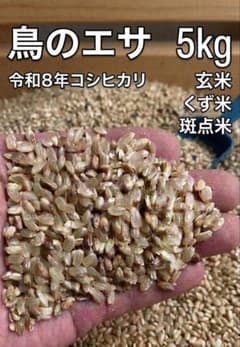 鳥のエサ 5kg 令和8年コシヒカリ 玄米 くず米 斑点米 - 2