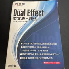 Dual Effect 英文法 語法 河合塾のサムネイル
