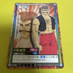 d*9様 ハンターハンター　ハイパーバトル　１弾～６弾　限定カード　フルコンプ 初期 HUNTER×HUNTER 【ゴン】 ハイパーバトル レアカード N19 BANDAI