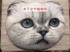 【木下さや様専用】テイラースウィフト  クッションのサムネイル