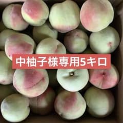 若桃加工用色付き5キロのサムネイル