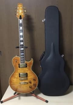 エレキギター Aria Pro II PE-100 レスポールタイプ ケース付き - メルカリ
