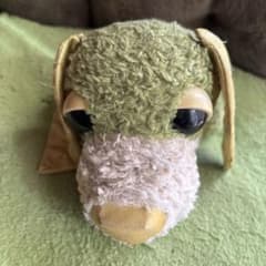 お茶犬のサムネイル