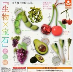 ＊*＊様 生物×宝石　食物編　全5種 フルコンプリート　ガチャのサムネイル