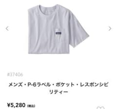 パタゴニア patagonia P-6 ポケット レスポンシビリティーのサムネイル