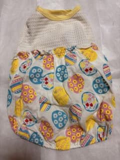 as know as dewanイースターのサムネイル