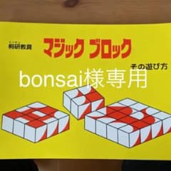 小学校受験＊＊&プレートパズルⅡ&マジックブロックのサムネイル